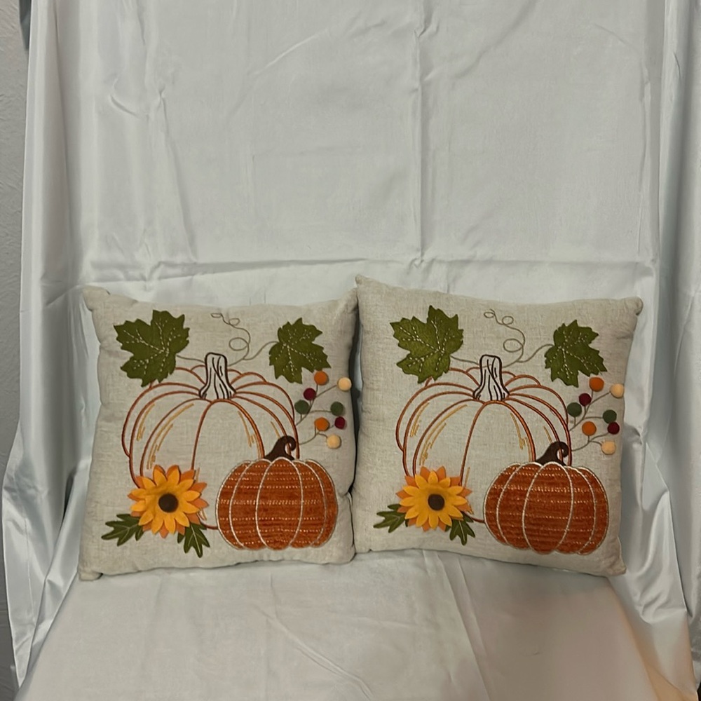 Set of 2 Matching Fall accent pillows, no tags but from CVS